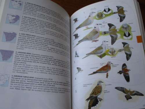 Sasol BIRDS OF SOUTHERN AFRICA. 3d edition