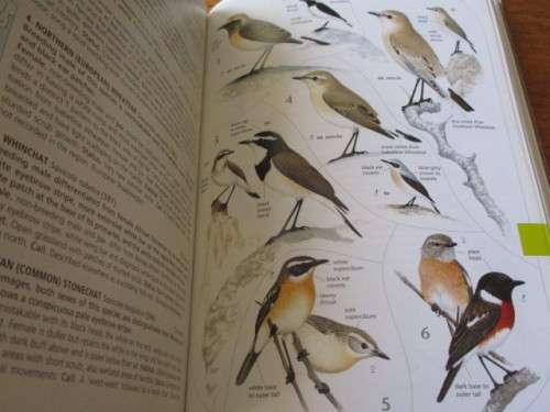 Sasol BIRDS OF SOUTHERN AFRICA. 3d edition