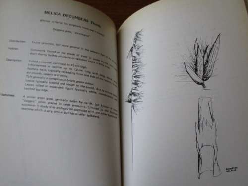 COMMON GRASSES OF THE ORANGE FREE STATE B.R. Roberts