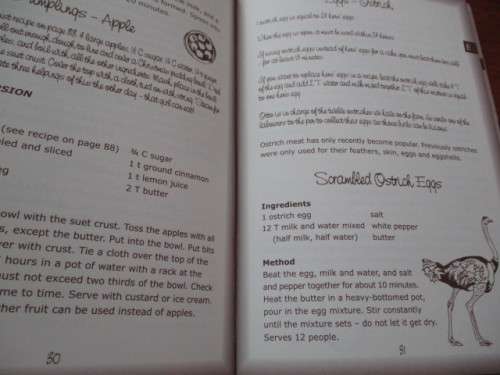 Tant Sannie's Cookbook. The Story of an African Farm
