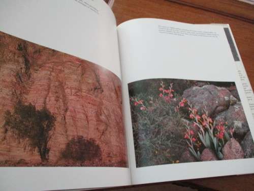 Garden of the Gods. NAMAQUALAND. Freeman Patterson