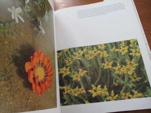 Garden of the Gods. NAMAQUALAND. Freeman Patterson