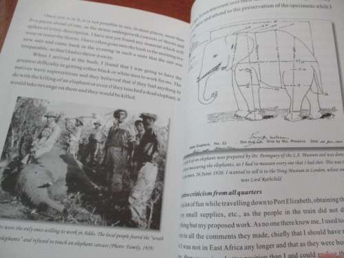JUNGLE MAN. Mthanda Batho. 18 Feb 1877 - 20 Nov 1945. HUNTER & ADVENTURER