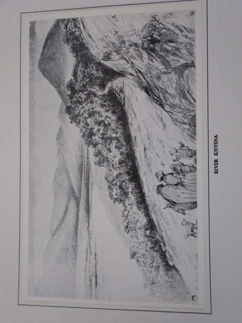 KNYSNA FOREST SCENERY - Ssketches by W.D. de Vignon van Alphen