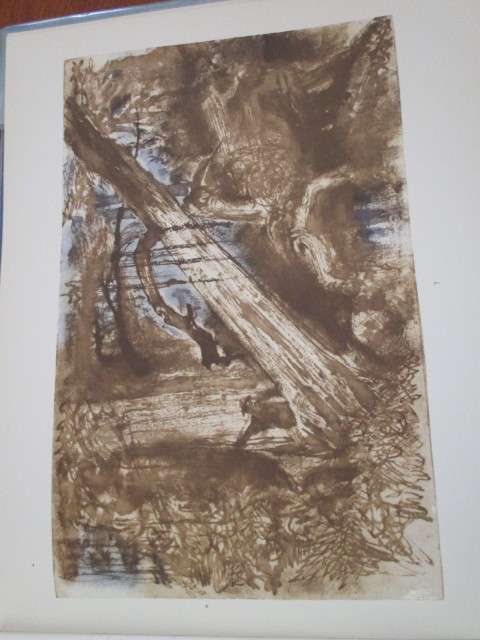 KNYSNA FOREST SCENERY - Ssketches by W.D. de Vignon van Alphen