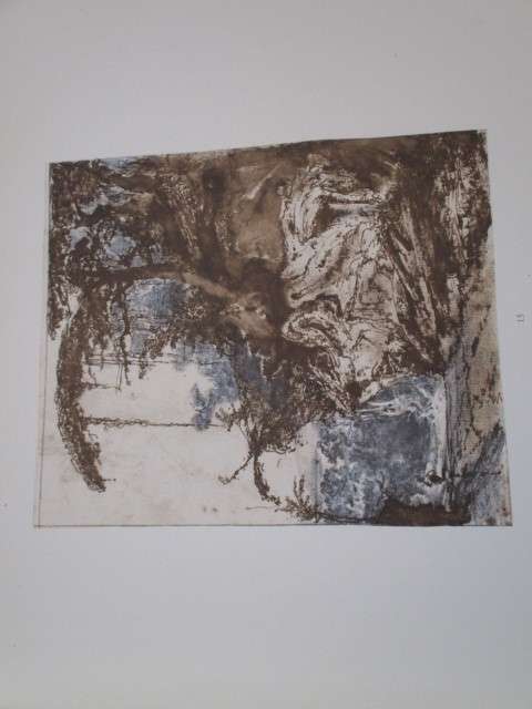 KNYSNA FOREST SCENERY - Ssketches by W.D. de Vignon van Alphen