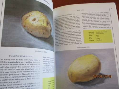 The Story of the POTATO through illustrated varieties