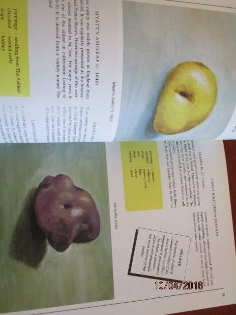 The Story of the POTATO through illustrated varieties