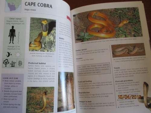 Snakes & Snake Bite in Southern Africa