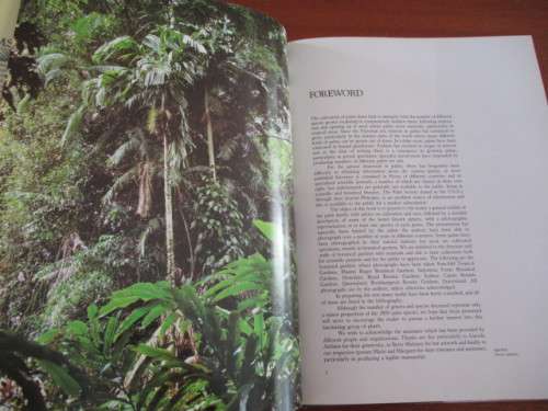 PALMS. Their cultivation, care and landscape use