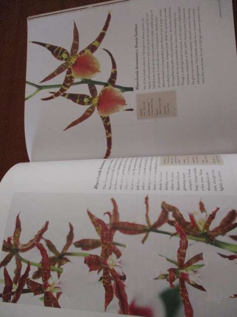 The Amazing World of ORCHIDS. A practical guide to selection and cultivation
