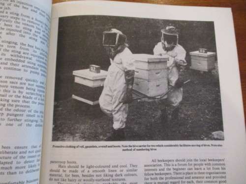 BEEKEEPING IN SOUTH AFRICA
