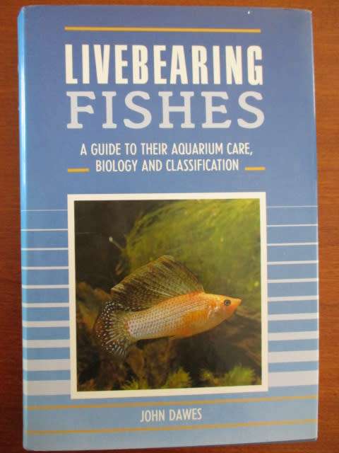 Livebearing Fishes
