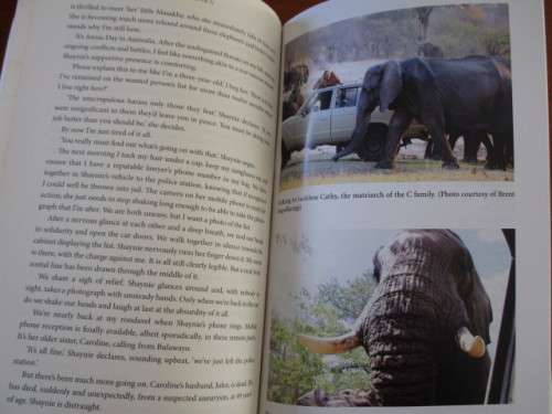 Elephant Dawn - 13 years living with elephants in the African wilderness