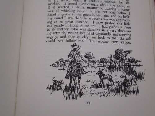 MEMORIES OF A GAME RANGER. Harry Wolhuter
