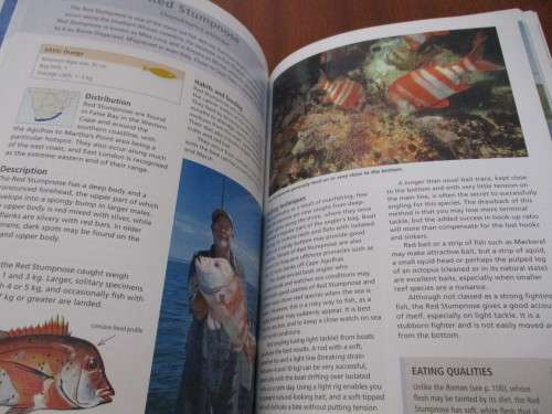 TOP ANGLING FISHES OF SOUTHERN AFRICA
