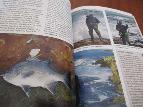 TOP ANGLING FISHES OF SOUTHERN AFRICA