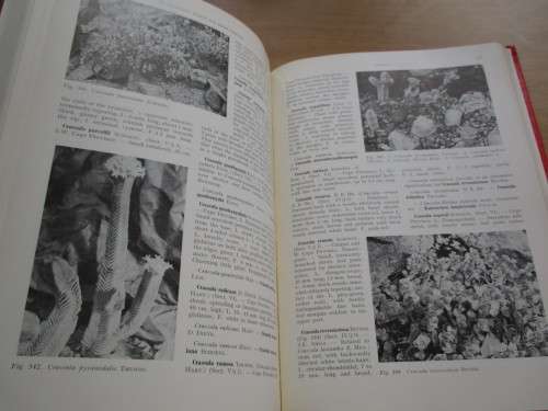 3 Volume Set. A HANDBOOK OF SUCCULENT PLANTS