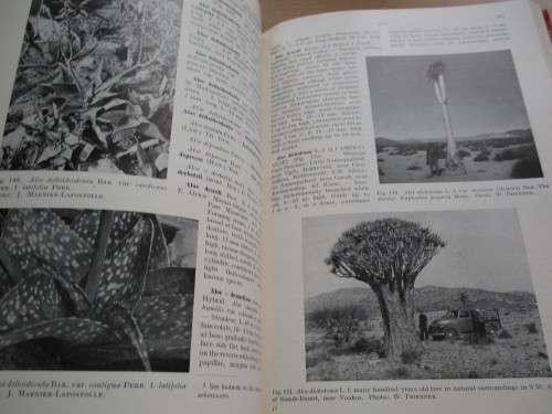 3 Volume Set. A HANDBOOK OF SUCCULENT PLANTS