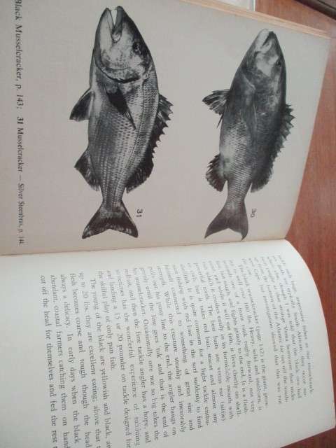 OUR FISHES -  J.L.B. Smith
