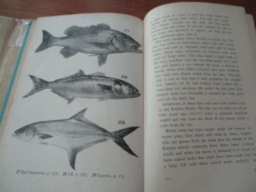 OUR FISHES -  J.L.B. Smith