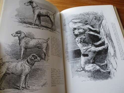The Making of the Parson Jack Russel Terrier