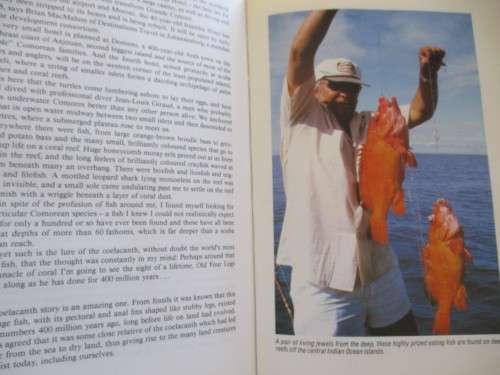 AFRICAN ANGLER Charles Norman