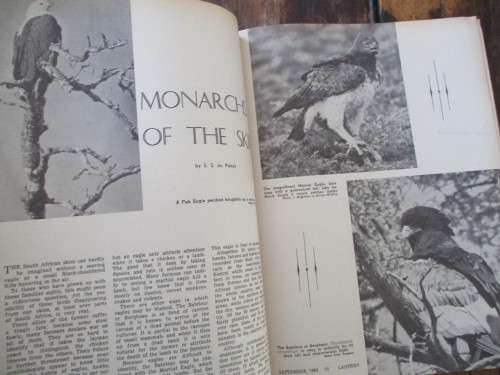 Bird-life in South Africa. LANTERN Sep 1964 - Special Edition