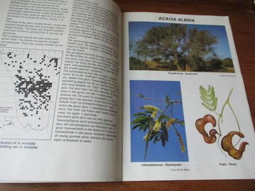 ACACIAS Trees of the year 1989