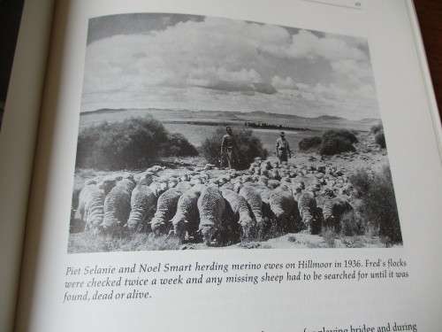 FOOTPRINTS IN THE KAROO - A Story of  farming life