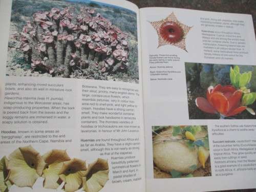 Grow succulents Kirstenbosch Gardening Series Ian B Olivier