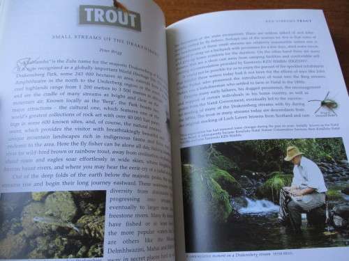 The Nedbank guide to FLYFISHING in Southern Africa
