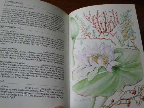 SOUTH AFRICA  Wild Flower Guide 2 Outeniqua Tsitsikamma & Eastern Little Karoo A Moriarty
