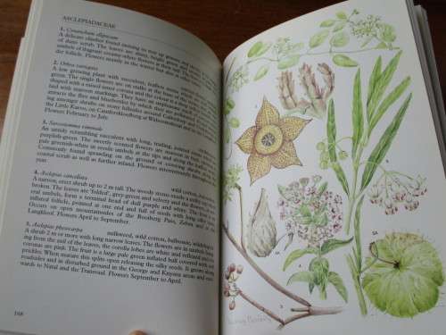 SOUTH AFRICA  Wild Flower Guide 2 Outeniqua Tsitsikamma & Eastern Little Karoo A Moriarty