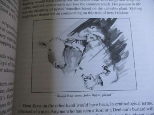 Signed. BULL BY THE HORNS Tod Collins