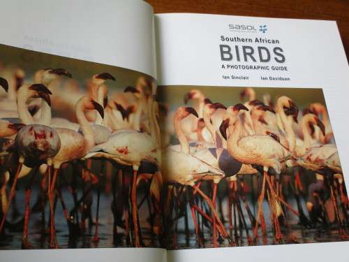 SASOL SOUTHERN AFRICAN BIRDS - A Photographic Guide