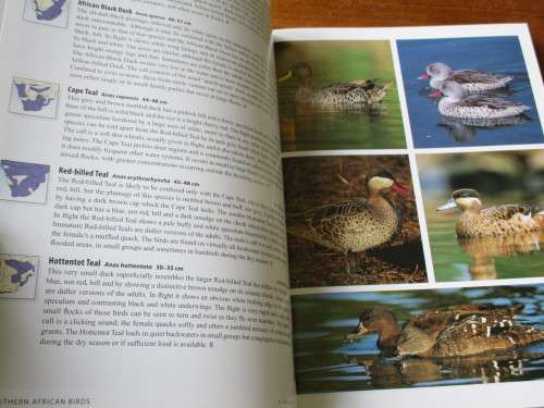SASOL SOUTHERN AFRICAN BIRDS - A Photographic Guide