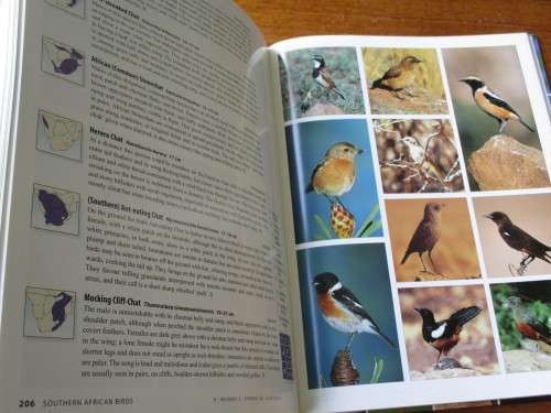 SASOL SOUTHERN AFRICAN BIRDS - A Photographic Guide