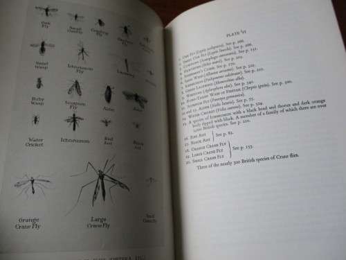 THE DICTIONARY OF TROUT FLIES AND OF FLIES FOR SEA-TROUT AND GRAYLING A.C. Williams
