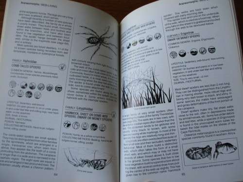 SOUTHERN AFRICA SPIDERS An Identification Guide Martin R. Filmer