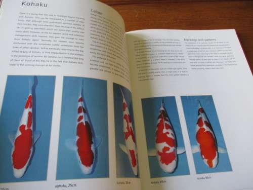 KOI. A handbook on keeping Nishikigoi. Sevaas de Kock  and Ronne Watt
