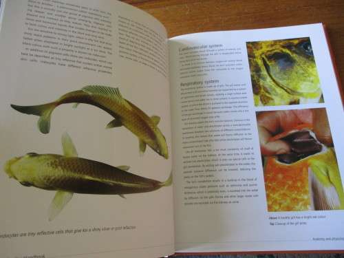 KOI. A handbook on keeping Nishikigoi. Sevaas de Kock  and Ronne Watt