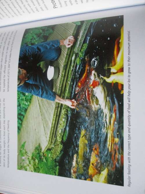 KOI. A handbook on keeping Nishikigoi. Sevaas de Kock  and Ronne Watt