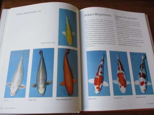 KOI. A handbook on keeping Nishikigoi. Sevaas de Kock  and Ronne Watt
