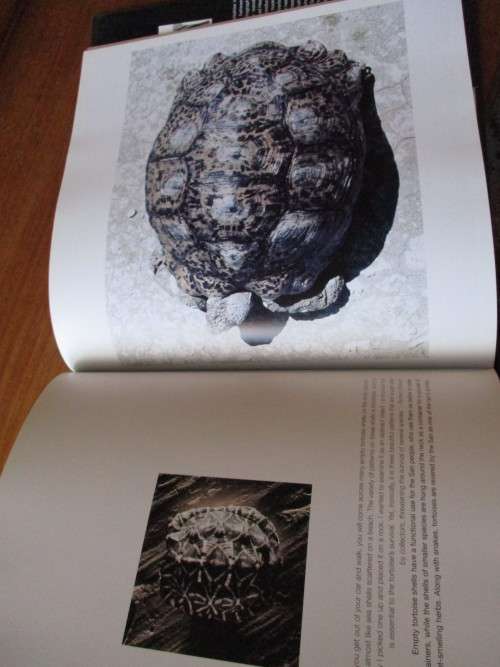 KAROO MOONS A Photographic Journey  Richard Dobson and Ruben Mowszowski