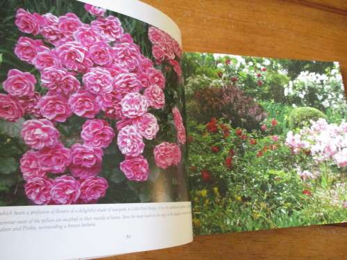OLD NECTAR A Garden for all seasons  Una van der  Spuy