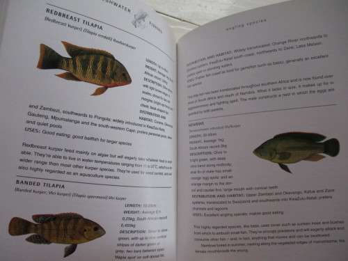 Southbound's Freshwater Fishing in South Africa