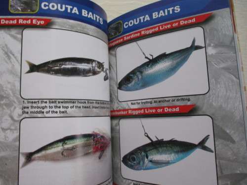 The Ultimate BAIT Guide. Rock&Surf - Offshore; Carp - Bass - Tiger - Fly