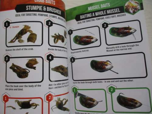 The Ultimate BAIT Guide. Rock&Surf - Offshore; Carp - Bass - Tiger - Fly