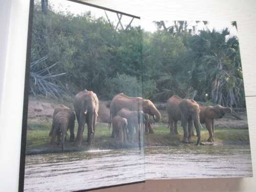 Too Close to the Sun. The Life and Times of Denys Finch Hatton. The story behind Out of Africa